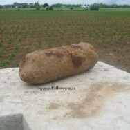 The “Iron Harvest”